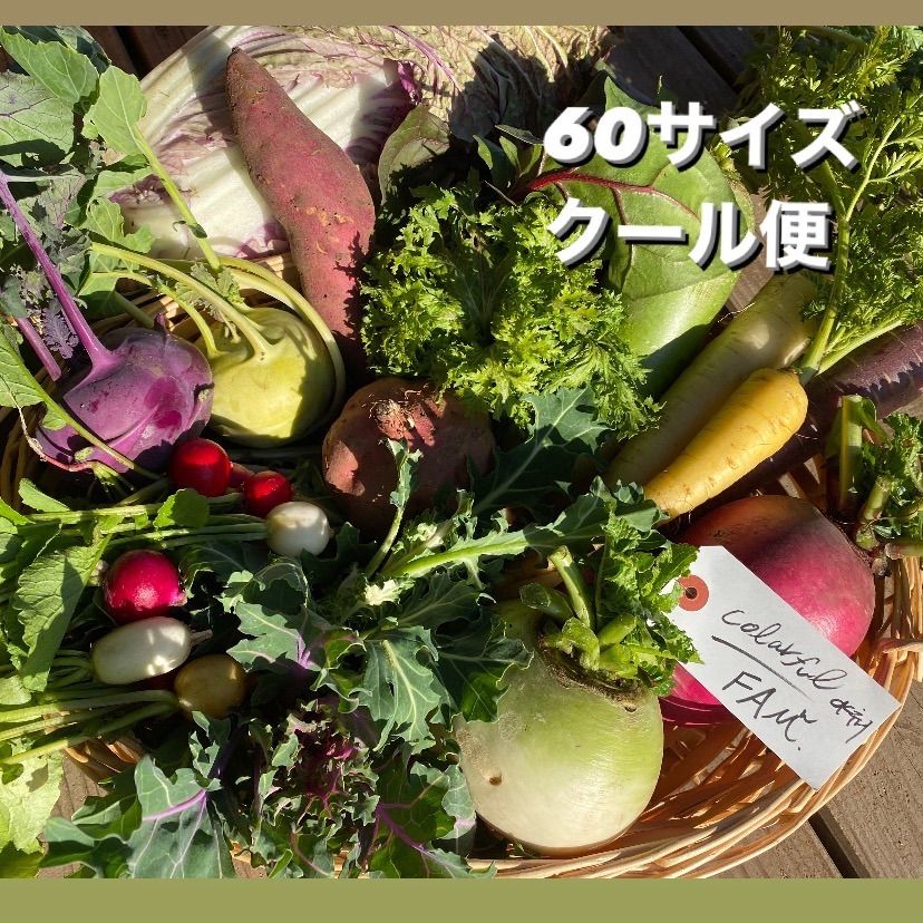 岩手県産 新鮮野菜の詰め合わせ　60サイズ ⚠︎クール便⚠︎ おまかせ野菜BOX