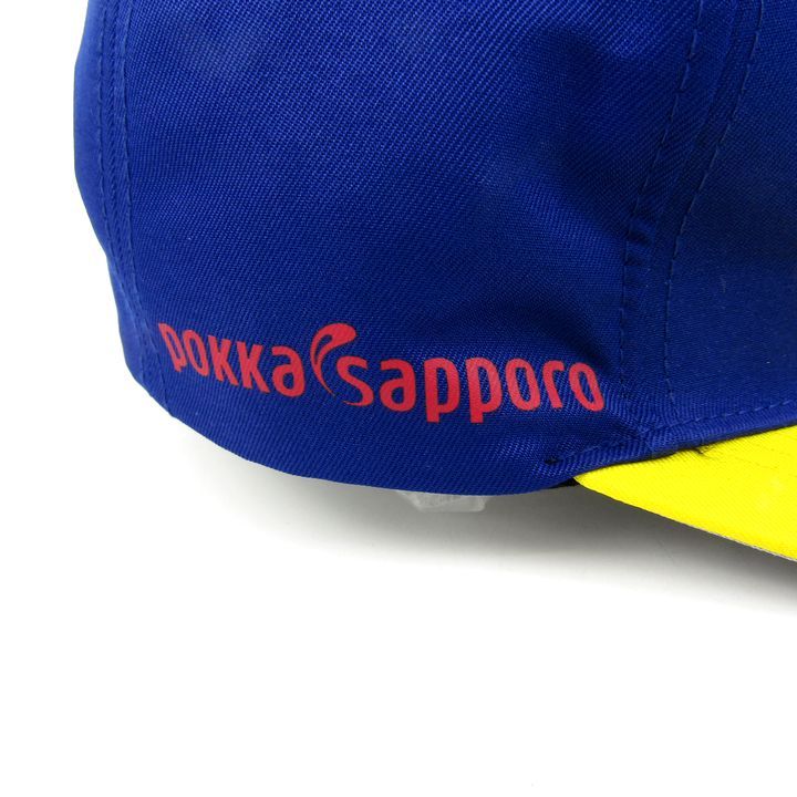 MIZUNO ミズノ 中日ドラゴンズ キャップ 帽子 ロゴ 2020 野球