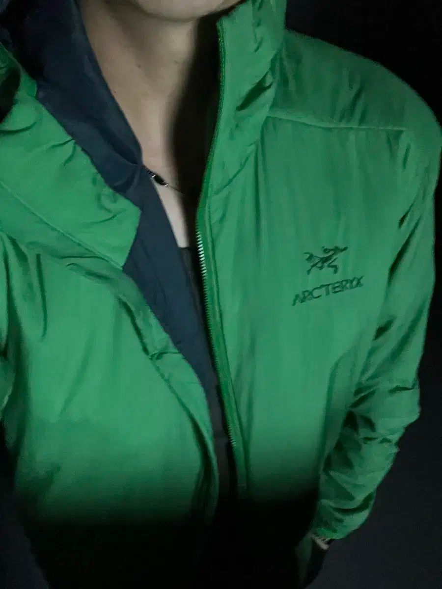 アークテリクス Atom LT ジャングル グリーン