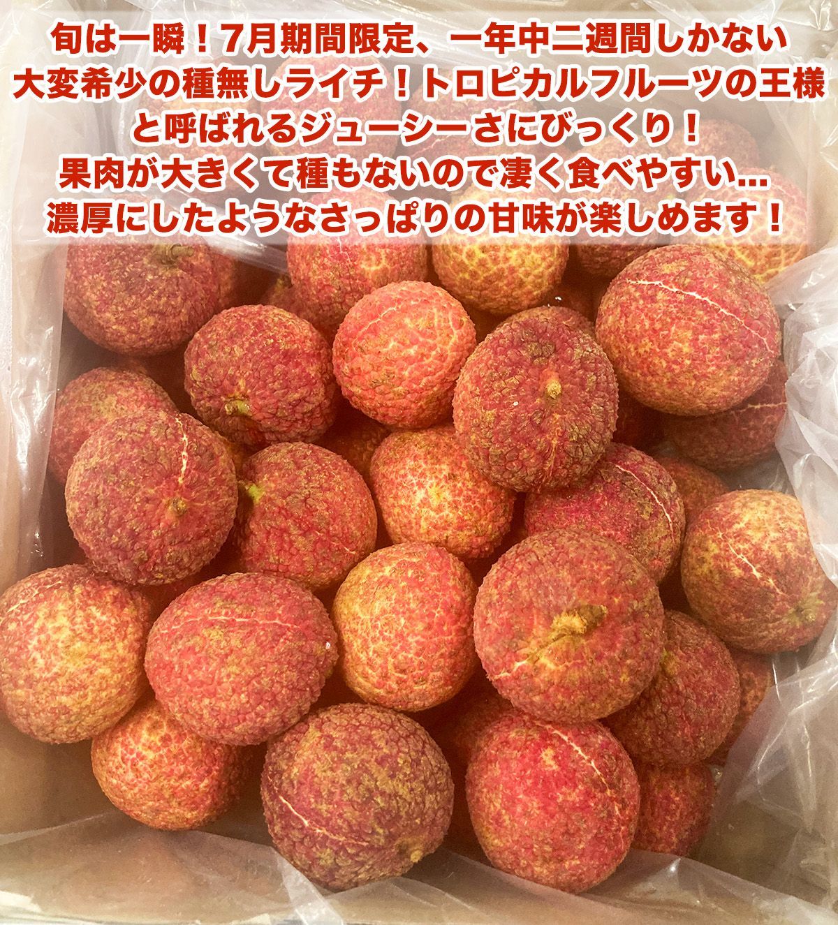 予約7月中旬＞種無し生ライチ約8kg 希少品種 - メルカリ