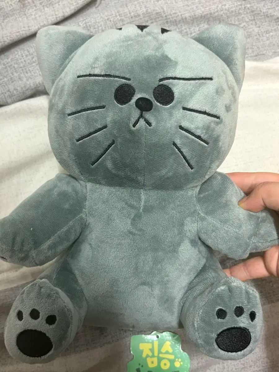 本物 ショートトゥーン ビーストフレンズ グラウンドホッグ 人形