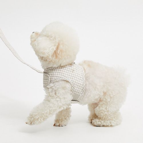 louisdog ルイドッグ