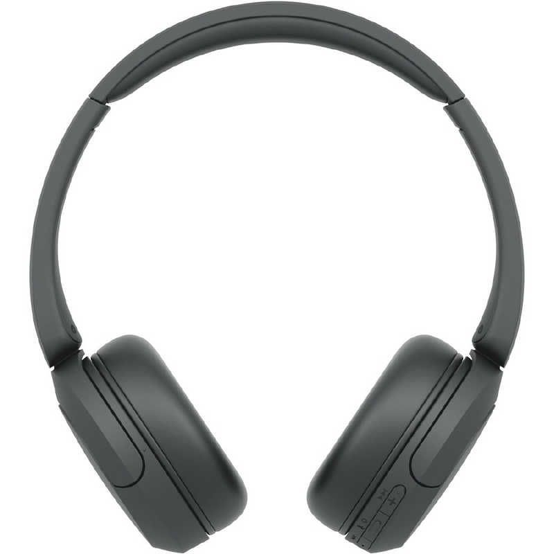 SONY サードパーティ製 バッテリー BP-U60×3 U30×2 充電器