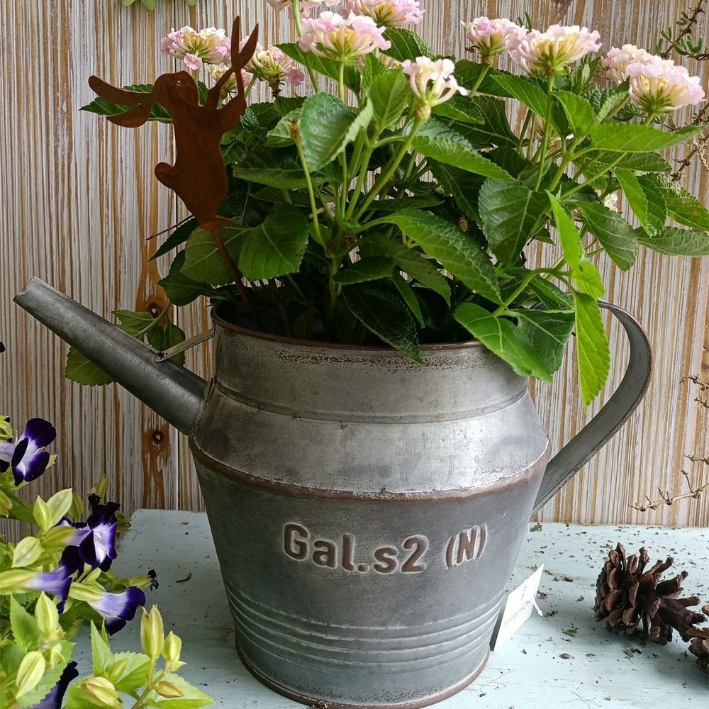寄せ植え