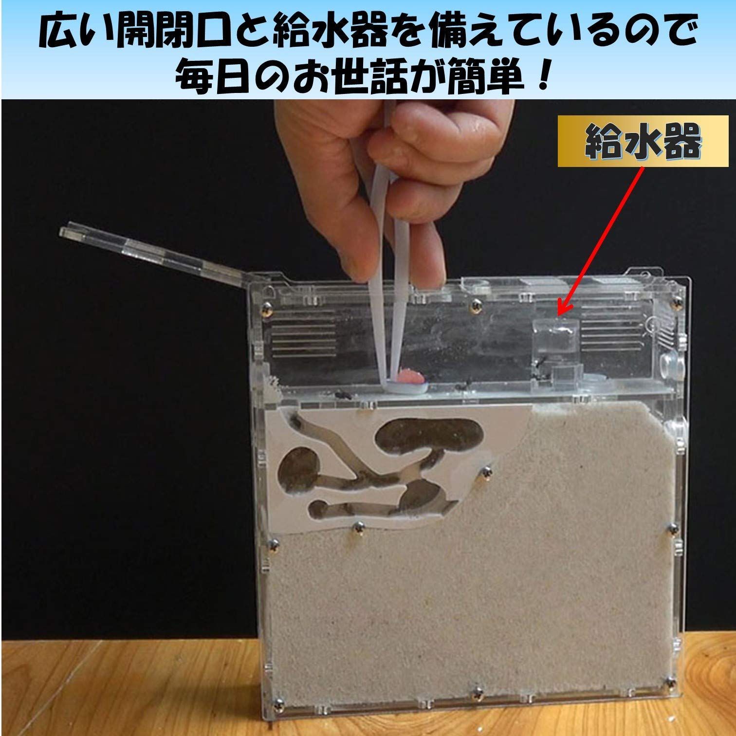 飼育ケース 自由研究 飼育セット 水槽 砂 アリ 観察 アリの巣 キット