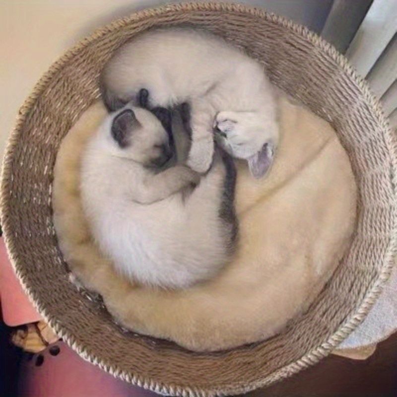 猫用品