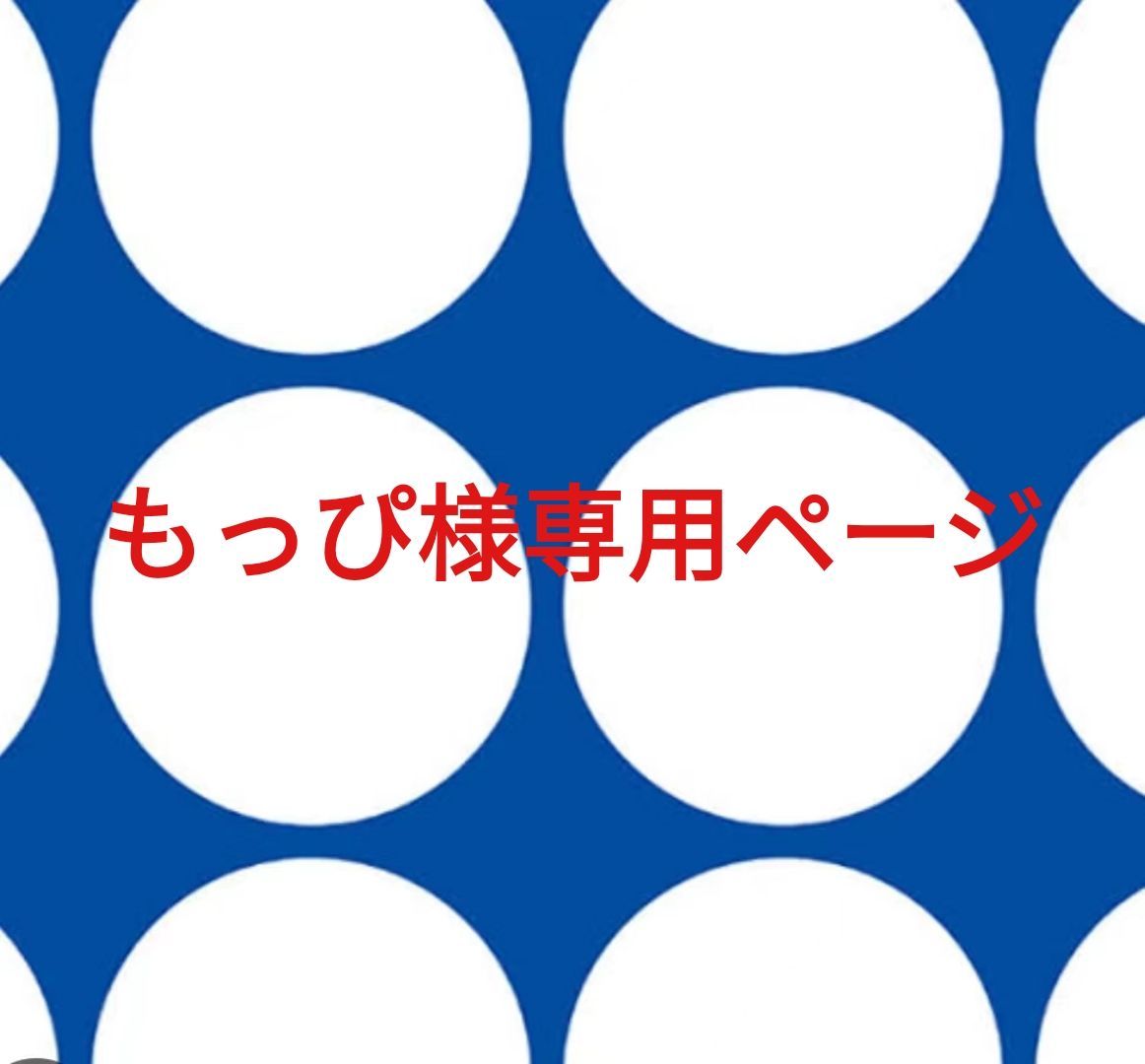 もっぴ様専用ページです。