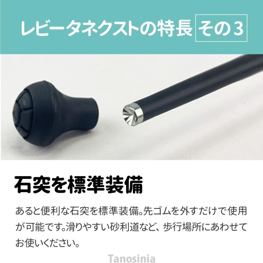 シナノ レビータネクスト