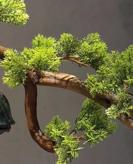 人工盆栽 プラスチック シミュョン植物鉢植え 人工観葉植物レーイクグリーン 鉢付きシ 造花 松盆栽 - メルカリ