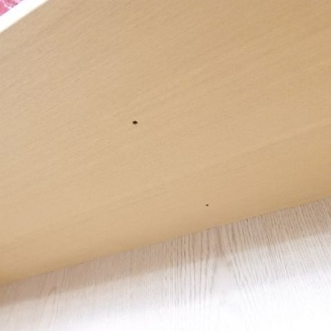 ワイド大