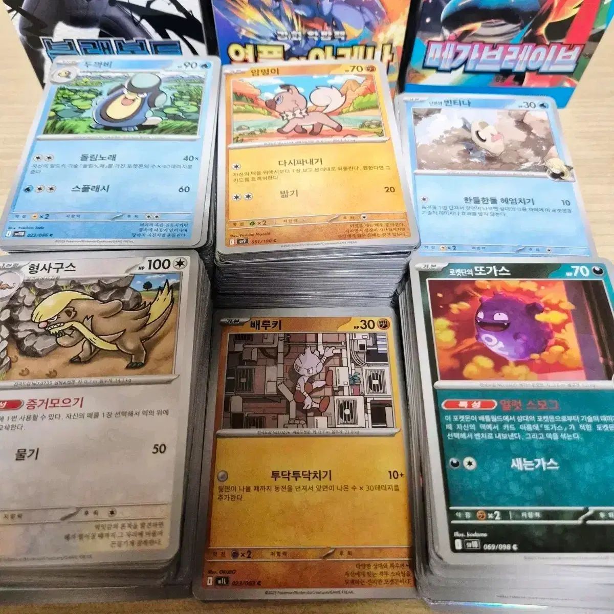 ポケットモンスター カード ジョブカード 740 腸