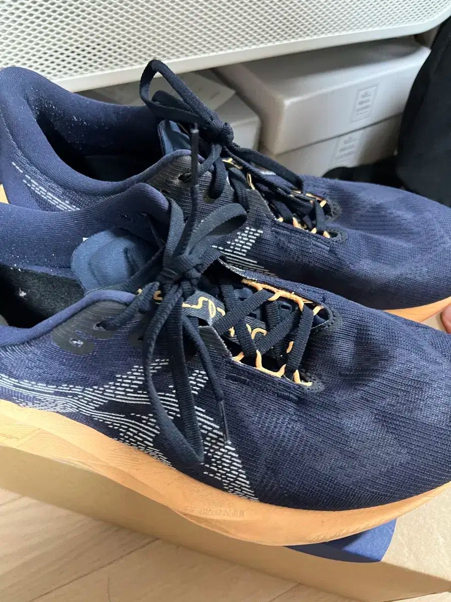 アシックス ノヴァブラスト5 2E 285mm