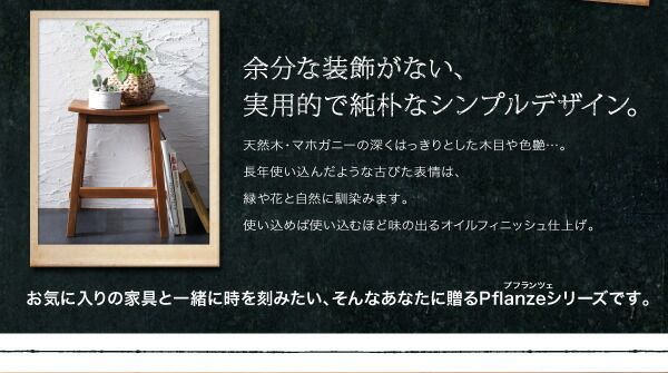 単品ルームガーデンファニチャーシリーズ Pflanze プフランツェ