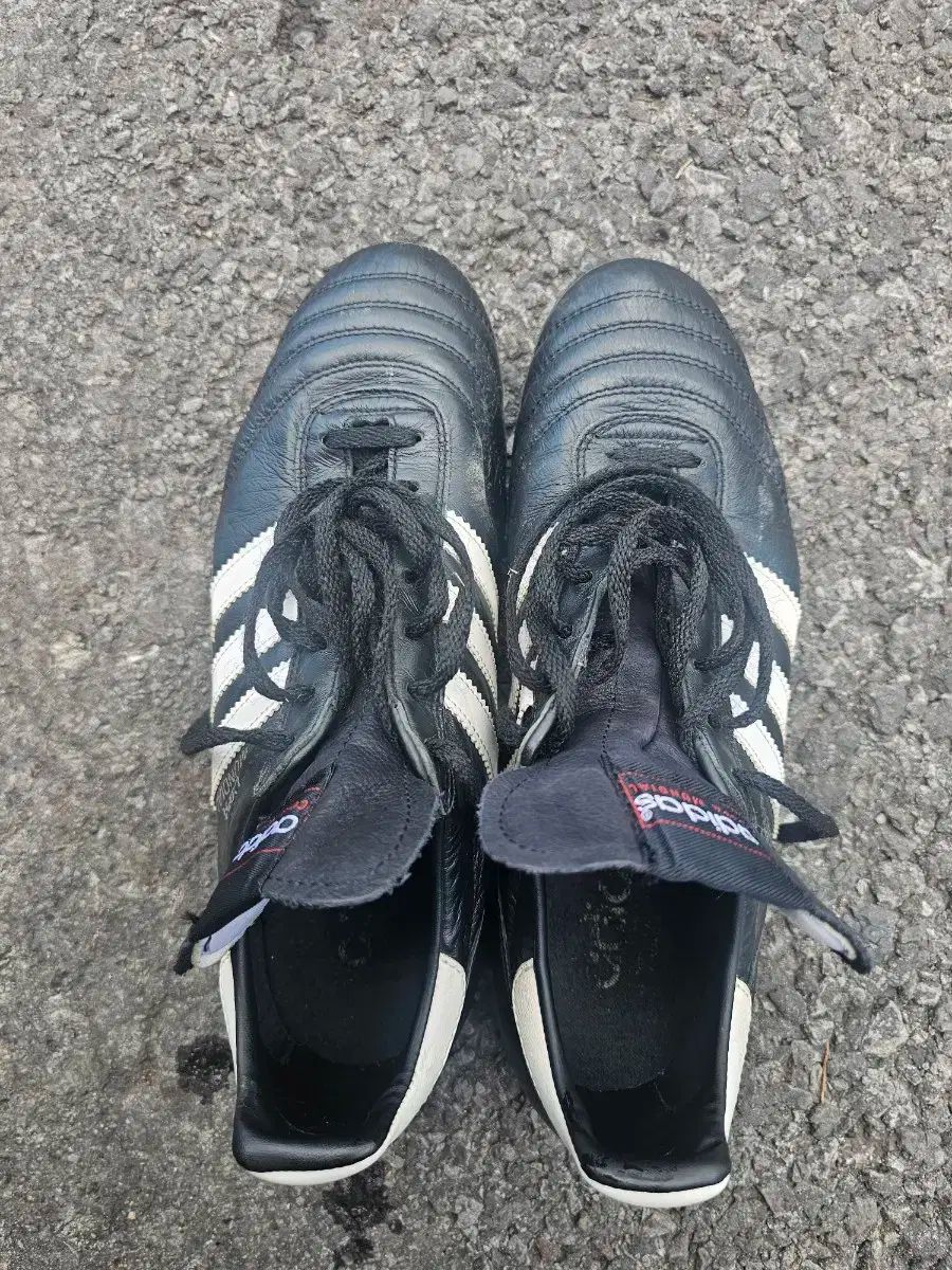 新品　adidas　アディダス　コパムンディアル　25.5cm　サッカースパイク コパムンディアル フットウェアホワイト×コアブラック | ゲキサカFCストア