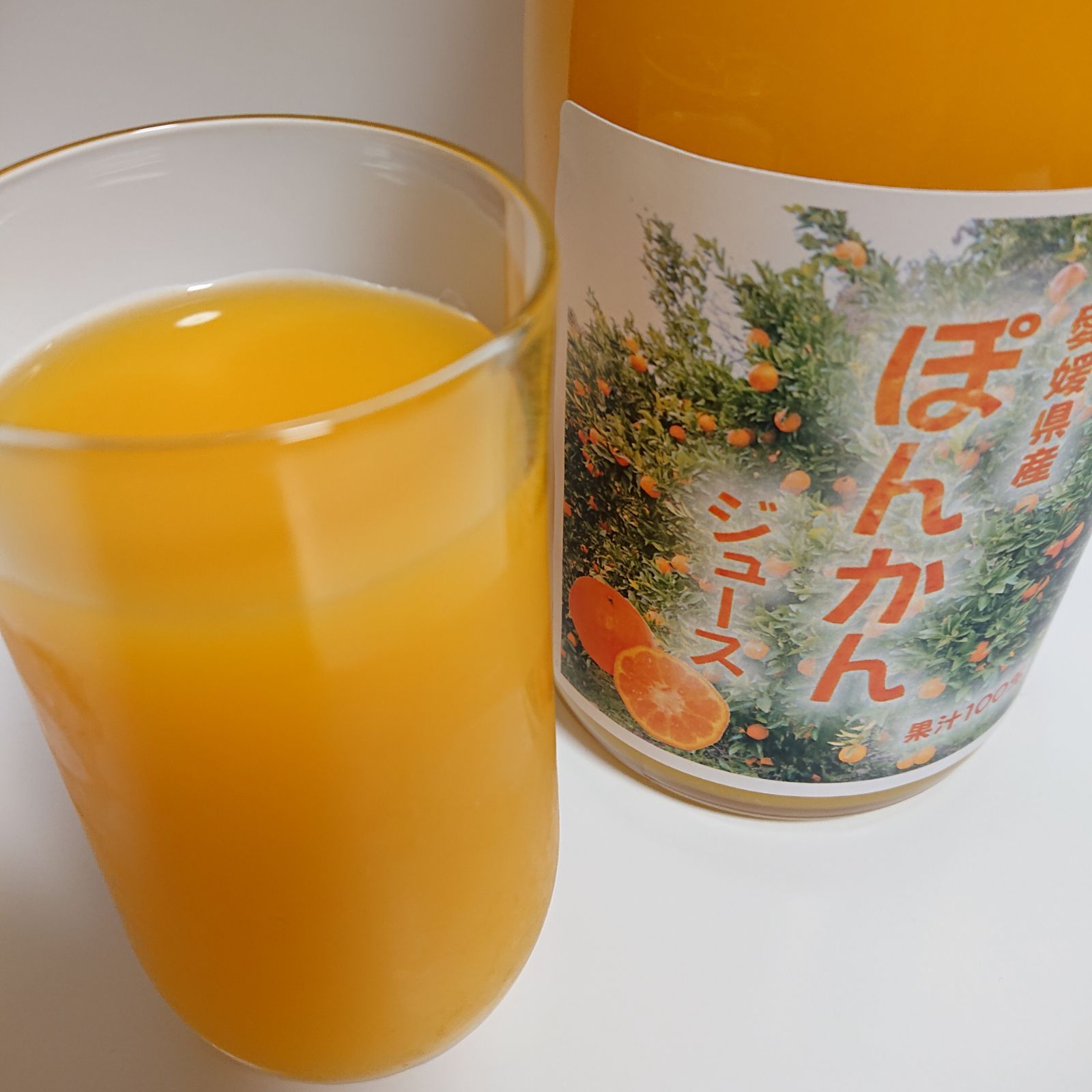飲料・酒 愛媛県産ぽんかんジュース 720ml 12本セット