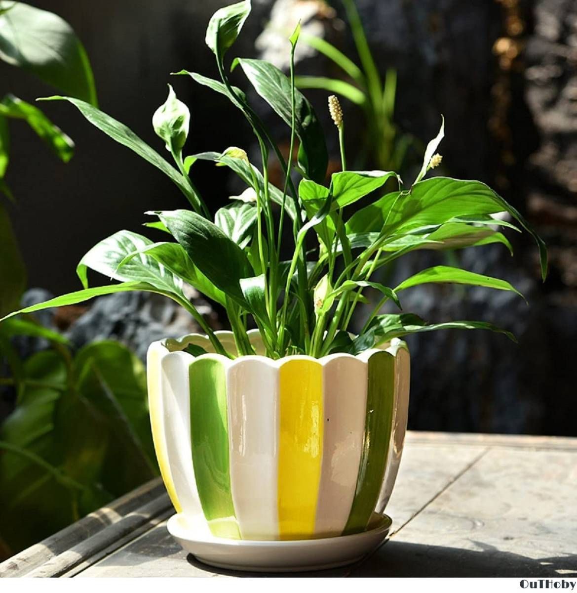 3個セット 緑 黄 プランター 多肉植物 盆栽 観葉植物 花 おしゃれ 植木鉢