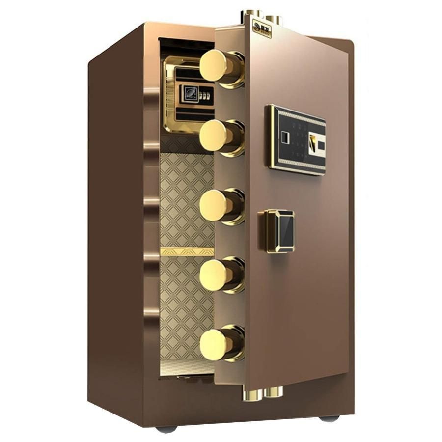 大型 耐火金庫 家庭用 60cm 70cm 80cm 1年保証 60分耐火 UL1時間耐火テスト合格 電子金庫 指紋認証 デジタルコンビネーション 金庫 大音 MARWIL-DEMENAGEMENTS_CH