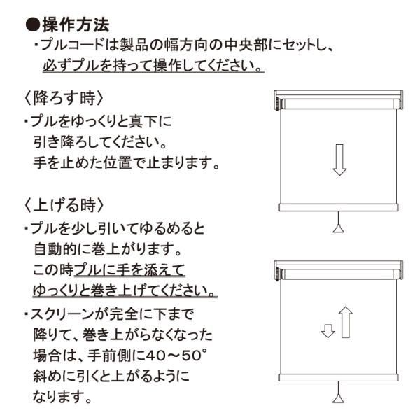 サイズ