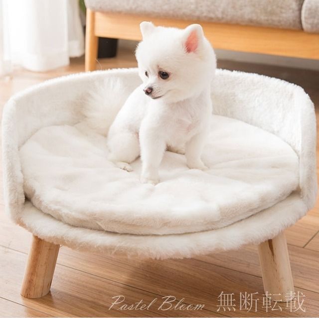 足付き 小猫