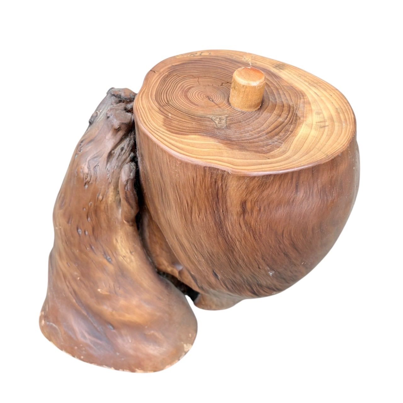 SHINKEN Vibration コントローラ MODEL D-5900 Quick RIVERNEW