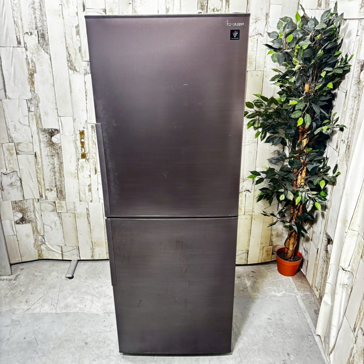 専用【2021年製】 SHARP シャープ SJ-PD28G-T ノンフロン冷凍冷蔵庫