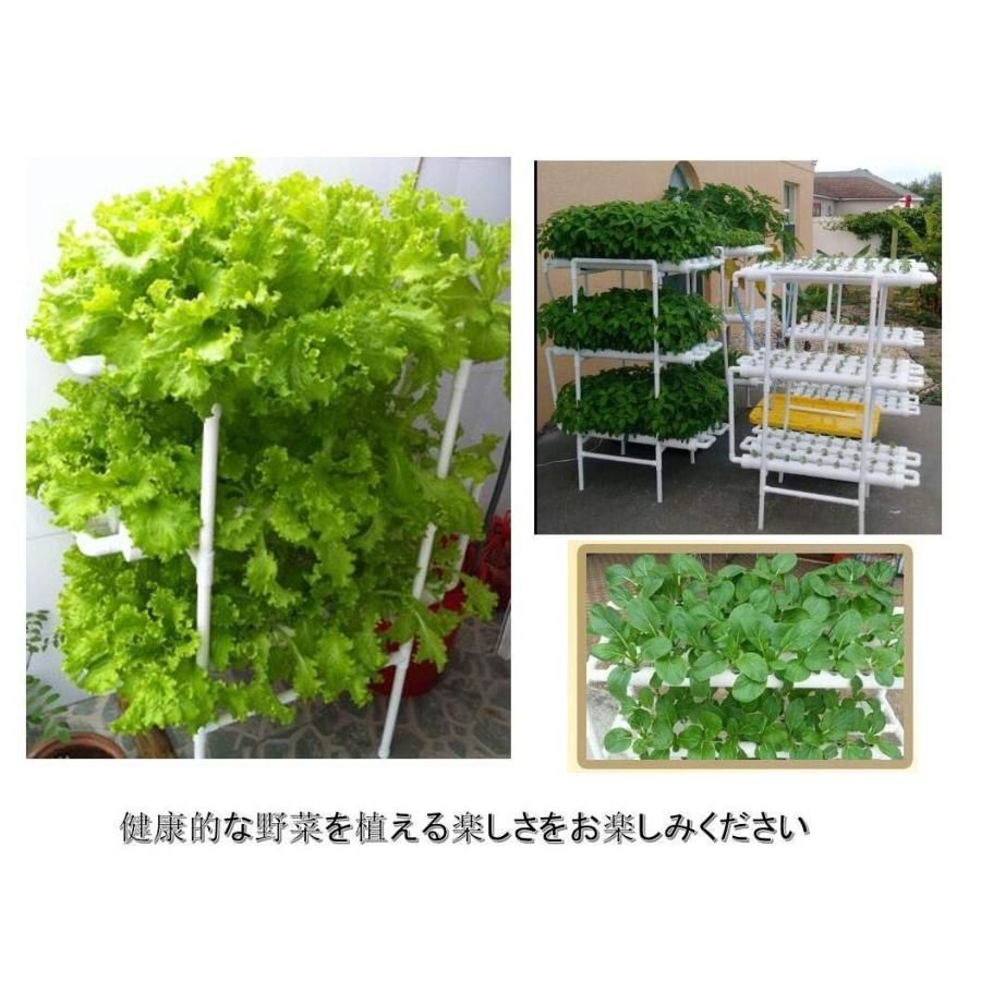 水耕栽培