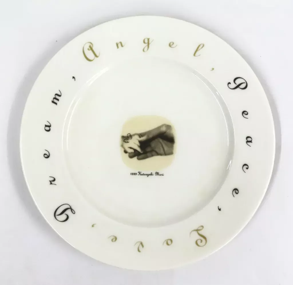 FELISSIMO TRIBUTE21 PLATE コレクション 12枚セット FELISSIMO TRIBUTE21 PLATE コレクション 12枚セット トリビュート21