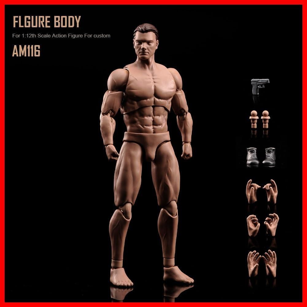 ク ー ポ ン 有☆彡6インチ男性の体型モデル 1/12スケール
