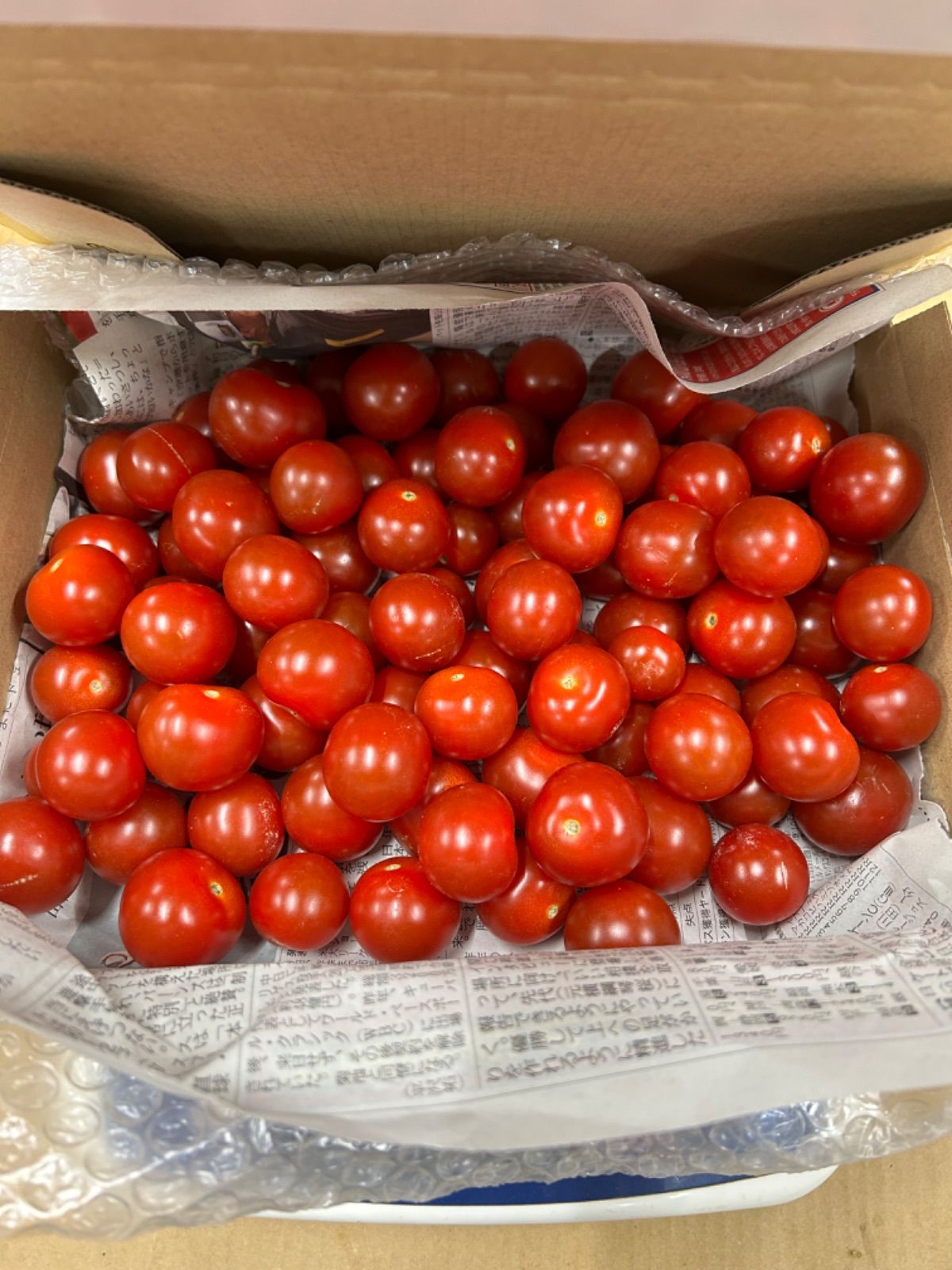 訳ありミニトマト1kg 千葉県産 伊藤SUN FARM - メルカリ
