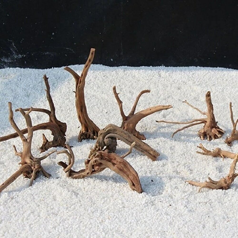 枝系流木　大量　煮沸済み 1個】Sサイズ 形状お任せタイプ アクアリウム 流木 煮沸済 流木