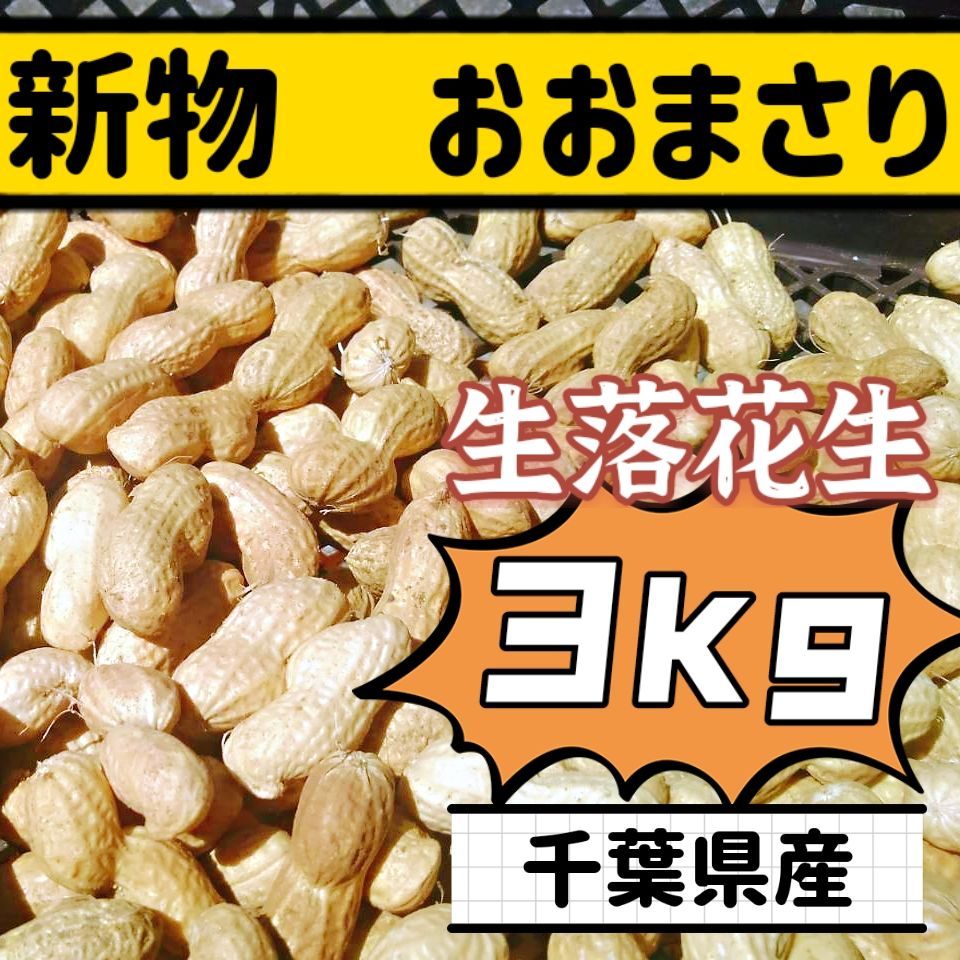 箱込み3kg 箱込み3キロ 無選別【農家直送】新物生落花生 おおまさり