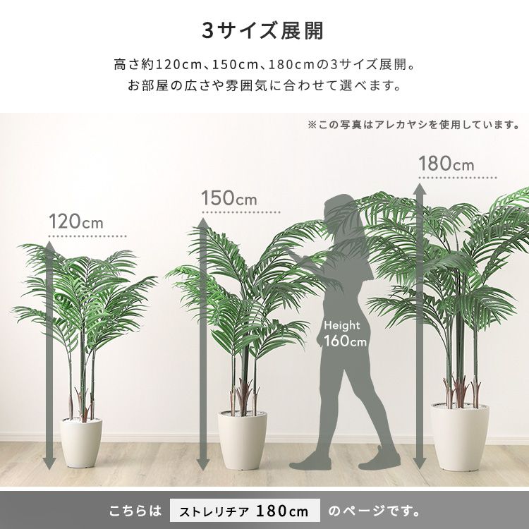 Lサイズ 2801