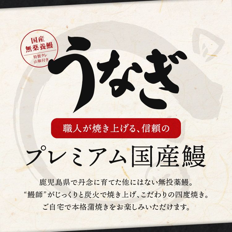 無投薬