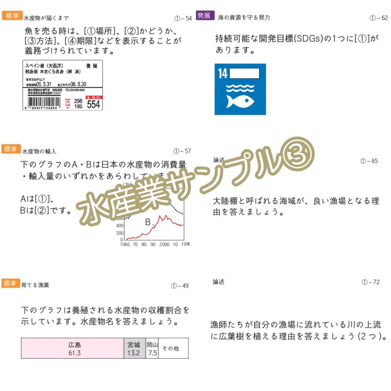 中学受験 暗記カード 極める地理(分野別) サピックス コアプラス 予習