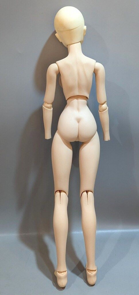 DD3ボディ付き