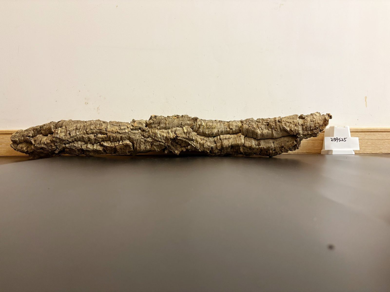 コルク板 バージンコルク