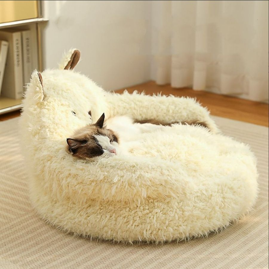 猫 犬
