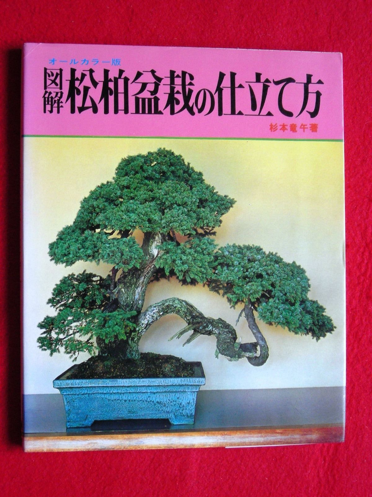 図解松柏盆栽の仕立て方