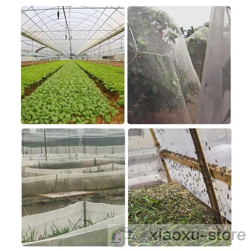 1mm目 野菜栽培