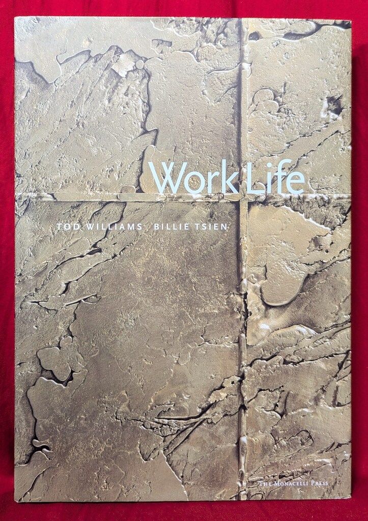 Tod Williams/Billie Tsien Work Life