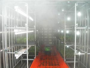 000cc|時の大噴霧量