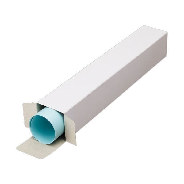 まとめ TANOSEEポスターケース コートボール紙 B1対応 1パック 10枚 ×5セット SKLAD-KIRPICHA_RU