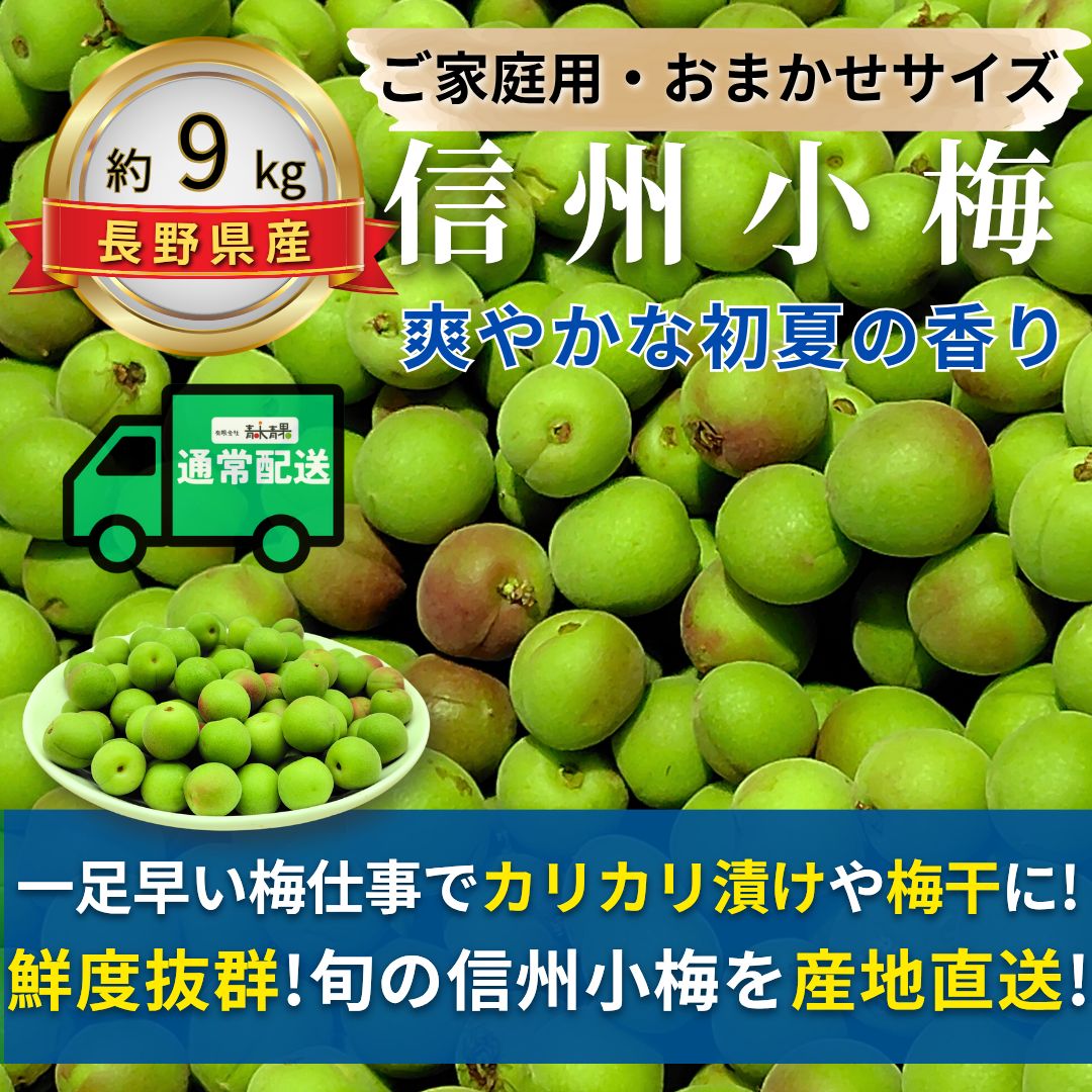 予約商品 5月下旬より順次発送 信州小梅 ～爽やかな初夏の香り～ 内容量 約9kg 配送方法 通常配送 サイズ 当店お任せ 品目 小梅 こうめ 品種 当店お任せ 産地 長野県 規格 ご家庭用A品B品混合 詰め方 バラ詰め 配送までの日数 30日以内