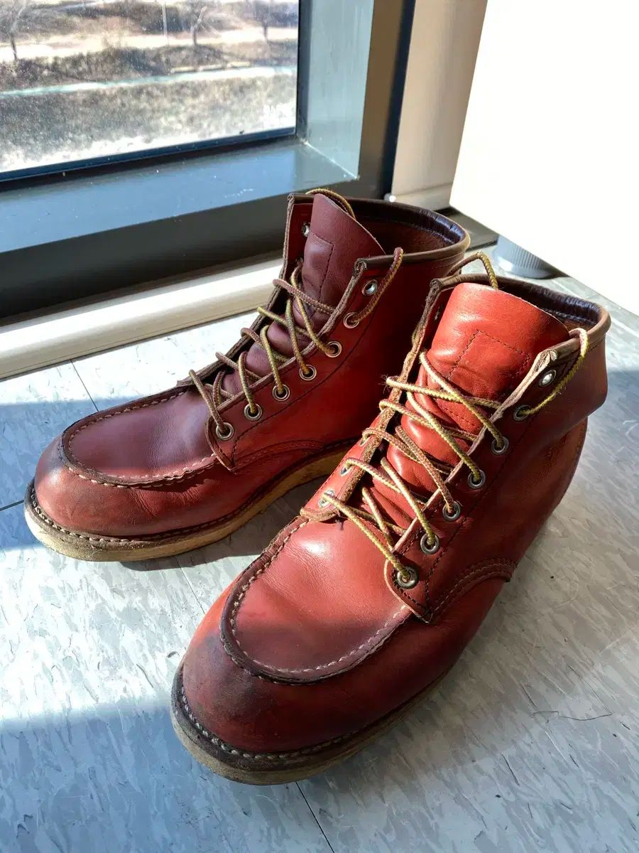 RED WING(レッドウィング) 8131 （ 8D ）