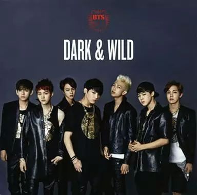 中古】洋楽CD BTS (防弾少年団) / DARK ＆ WILD[DVD付] - メルカリ