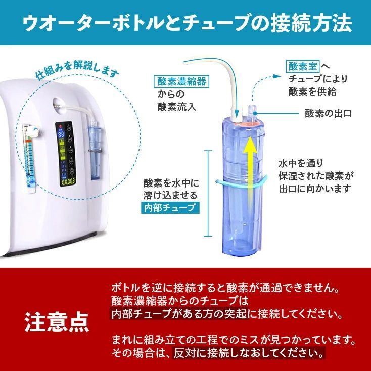 モルモット