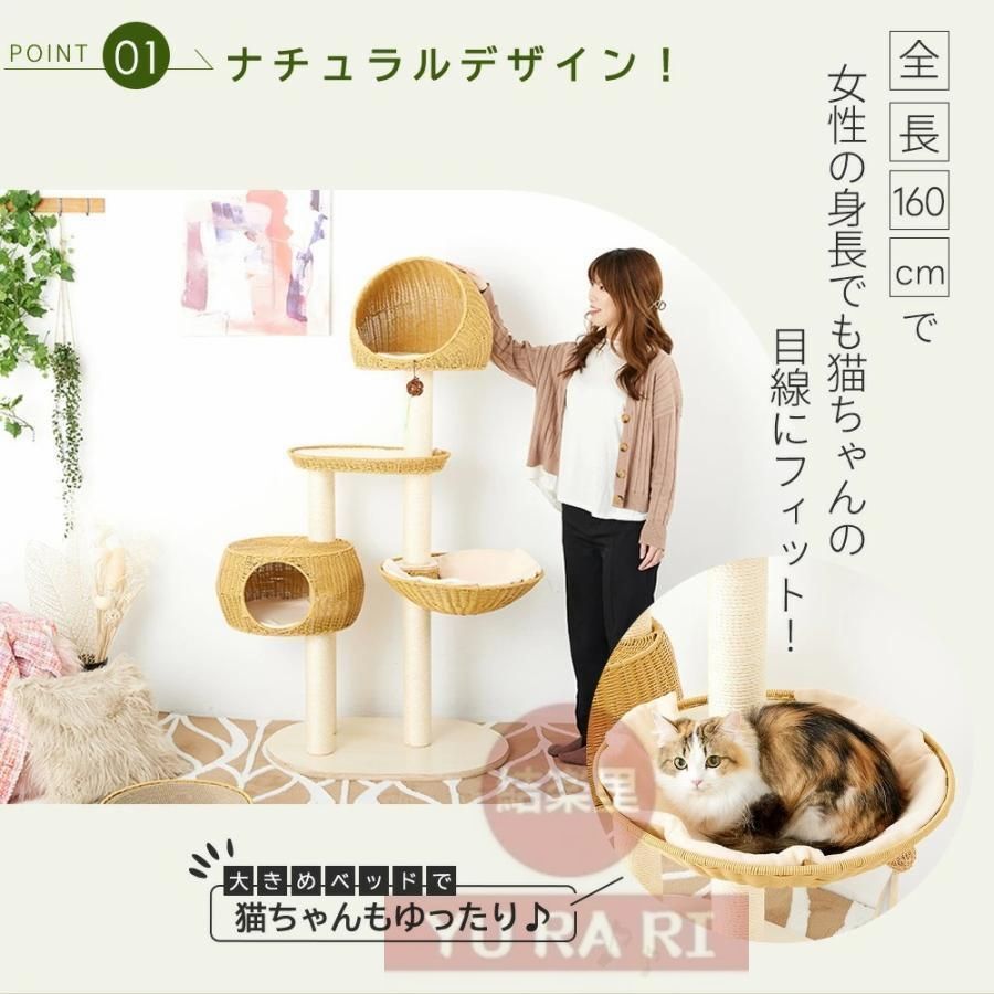 多頭飼い