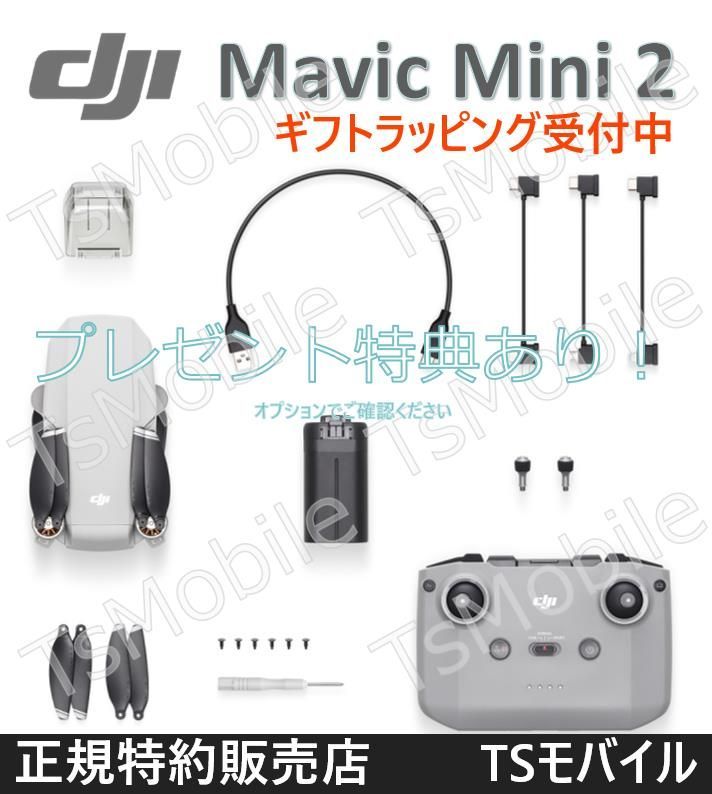 DJI Mavic Mini2 4Kカメラ付き 【賠償責任保険付】 - tsmobile - メルカリ