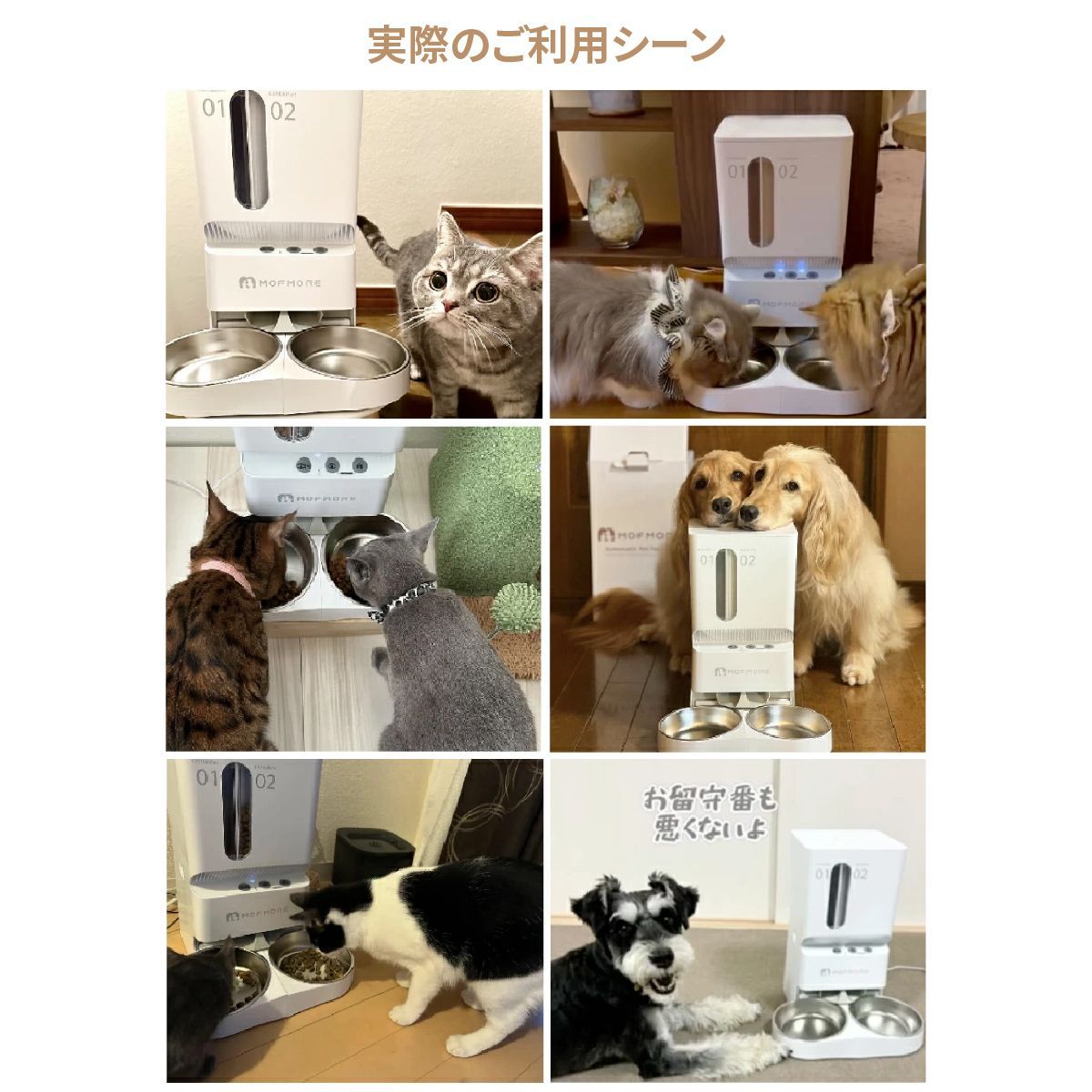 猫 犬用自動給餌器