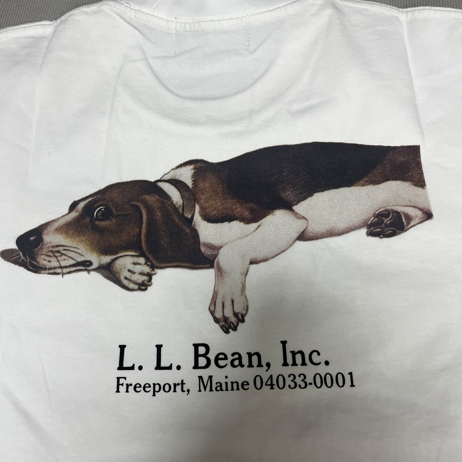 L.L.Bean エルエルビーン BEAMS(ビームス) Tシャツ 半袖 ビームス トロアニマルプリント半袖アウトドアスポーツゆったりTシャツペアルック  男女兼用